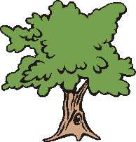 The Tree